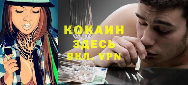 метадон Алексин