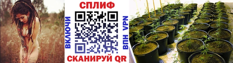 Конопля Ganja  Камбарка 